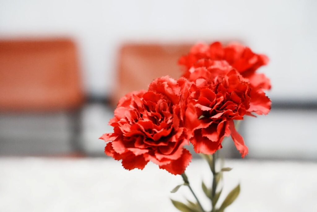 ソ連時代に大量生産された赤いカーネーションの造花ⒸPen&Voyage
