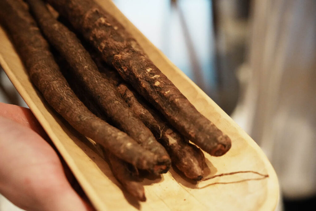 「ブラック・サルシファイ」の生の状態。ゴボウそっくりⒸPen&Voyage