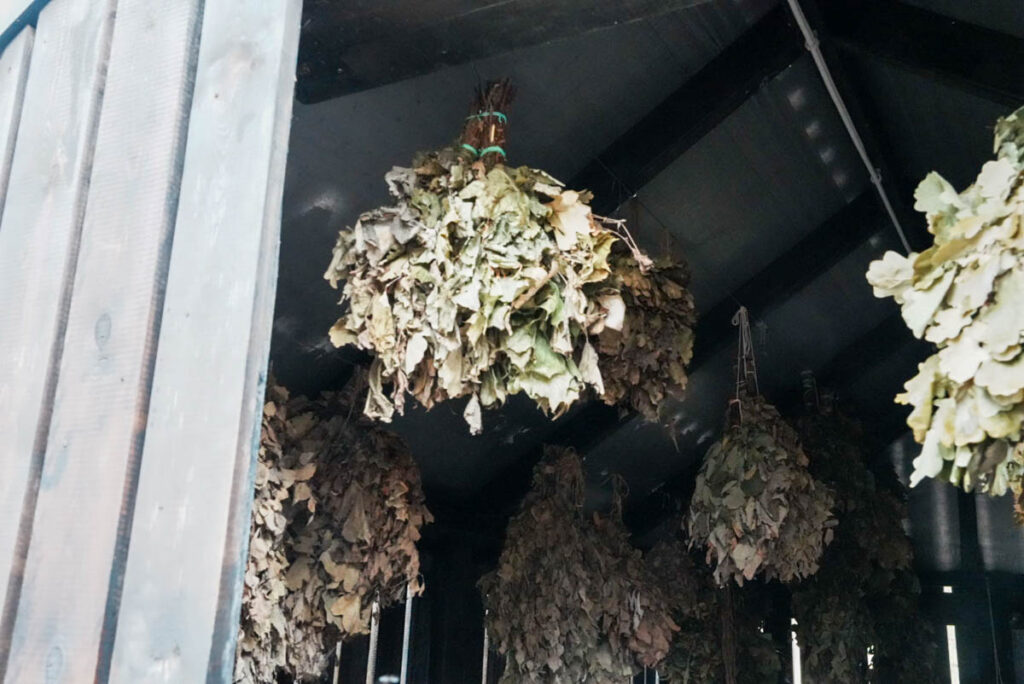 木々やハーブの葉をつるして乾燥させウィスクにⒸPen&Voyage