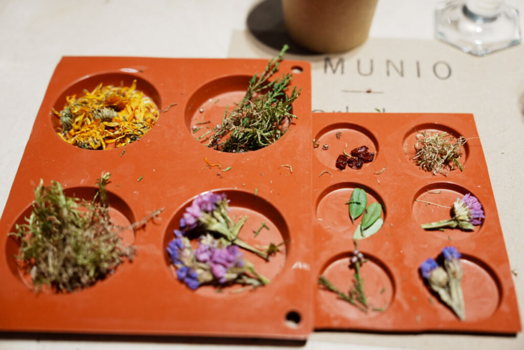 大小2種類の型に好みの植物を入れるⒸPen＆Voyage