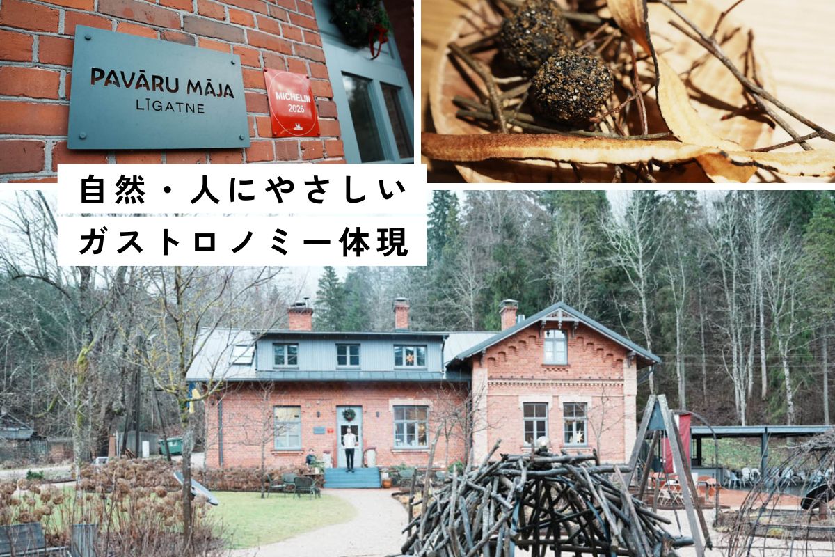 ミシュラングリーンスター「パワール・マーヤ」