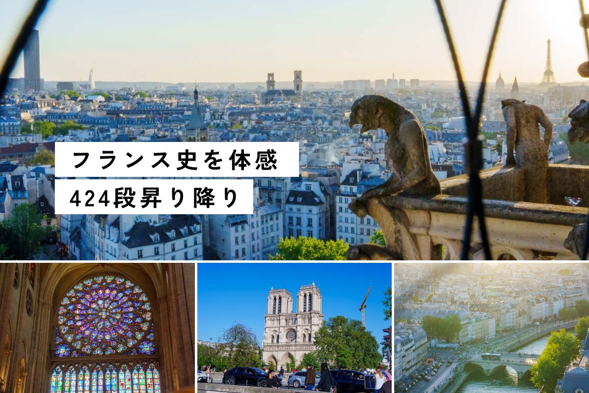 【パリ】ノートルダム大聖堂の塔は昇るべき！予約から当日まで