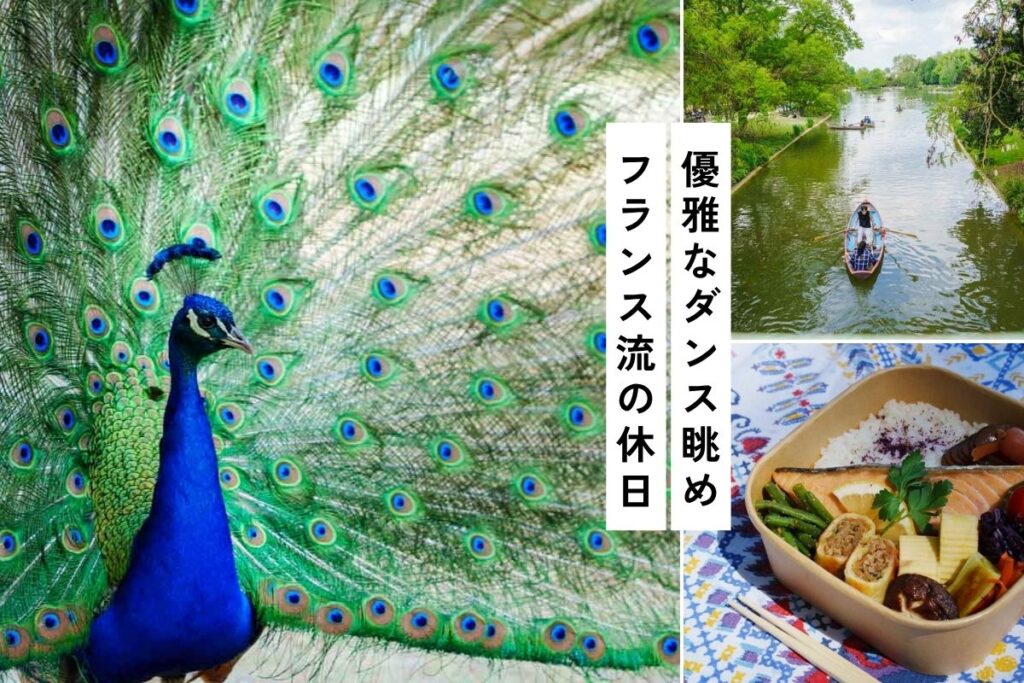 【パリ】ヴァンセンヌの森でピクニック。クジャクの求愛ショー付き！