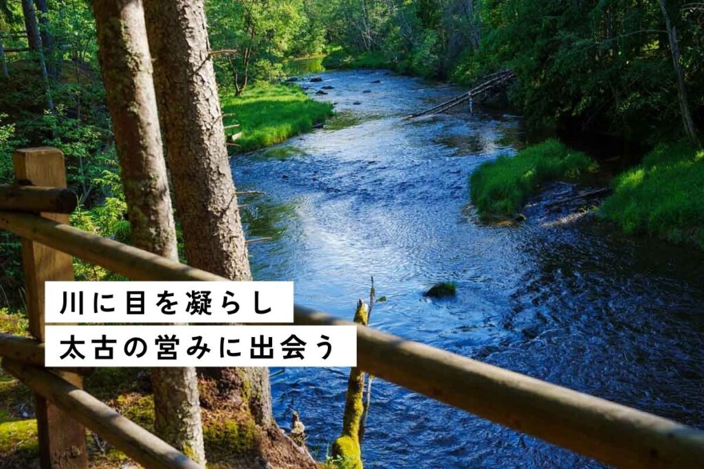 【ラトビア】バルトの森トレイル。4億年前の命、地球を体感