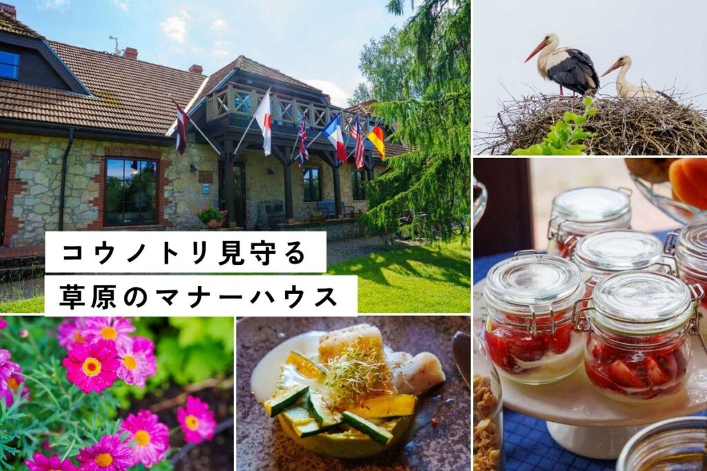 【ラトビア】カントリーホテルに泊まって田舎とサウナ満喫。2泊プラン紹介