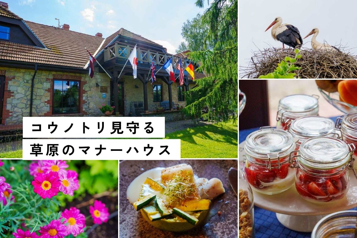 【ラトビア】カントリーホテルに泊まって田舎とサウナ満喫。2泊プラン紹介
