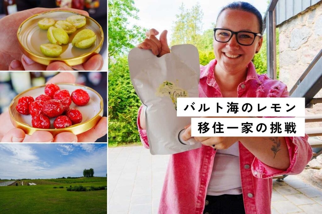 【ラトビア】バルミエラ地方のフリーズドライ農園を訪ねる