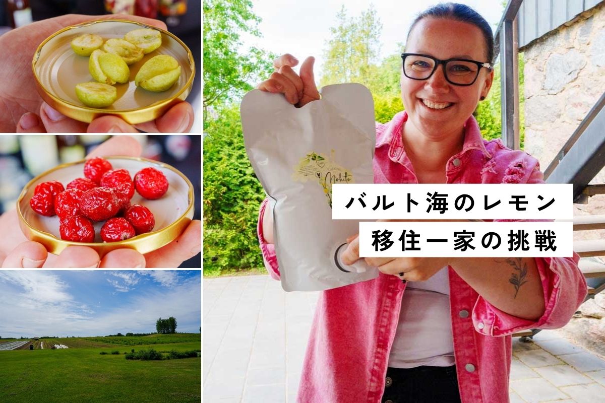 【ラトビア】バルミエラ地方のフリーズドライ農園を訪ねる
