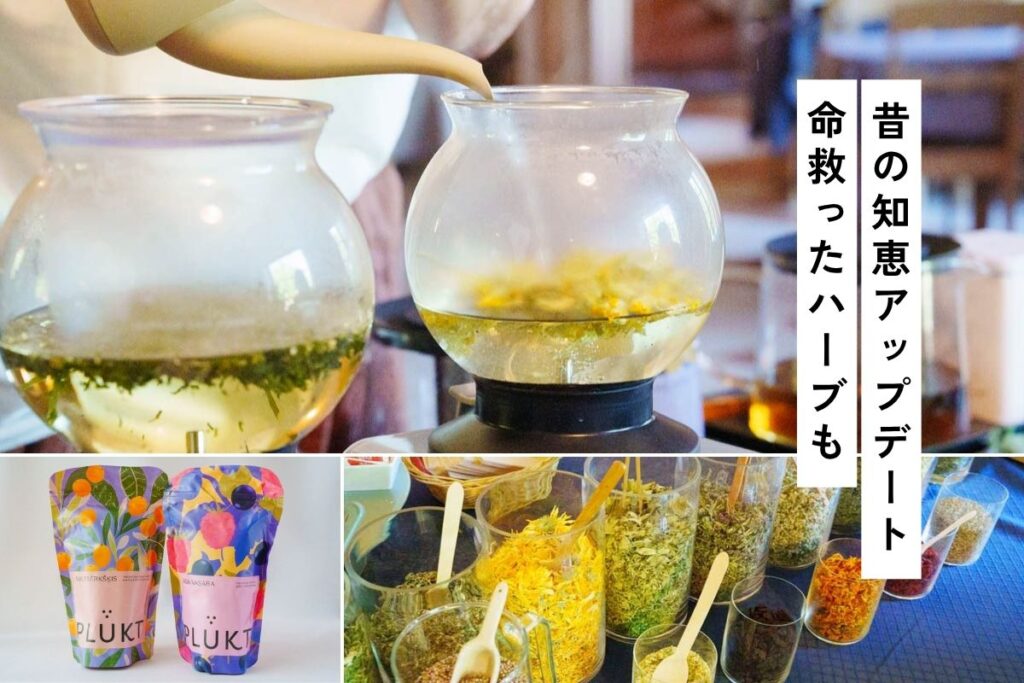 【ラトビア】ハーブティー「Plūkt（プルクト）」。北欧お茶文化、再生の旗手