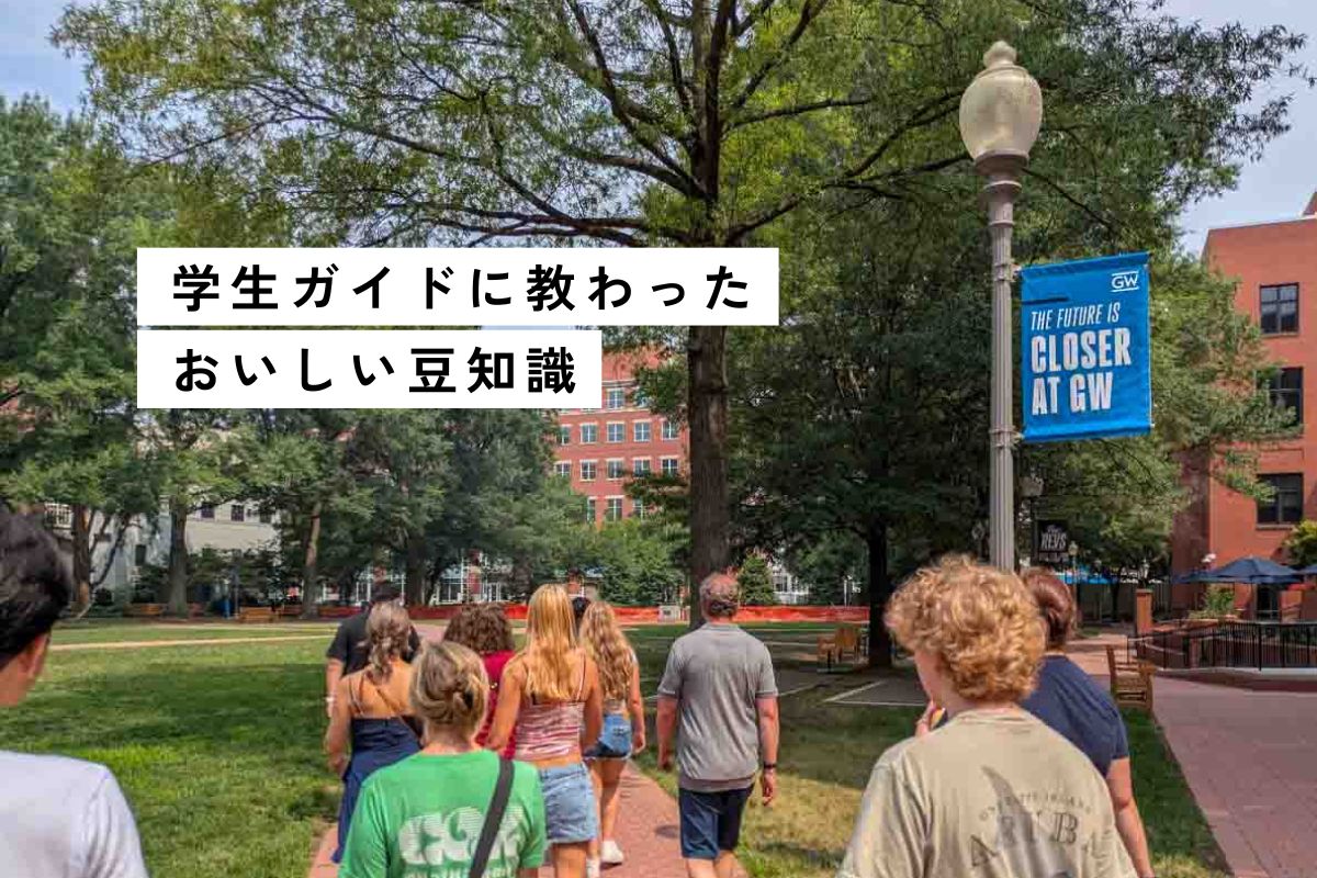 【ワシントンD.C.】ジョージワシントン大学キャンパスツアー！