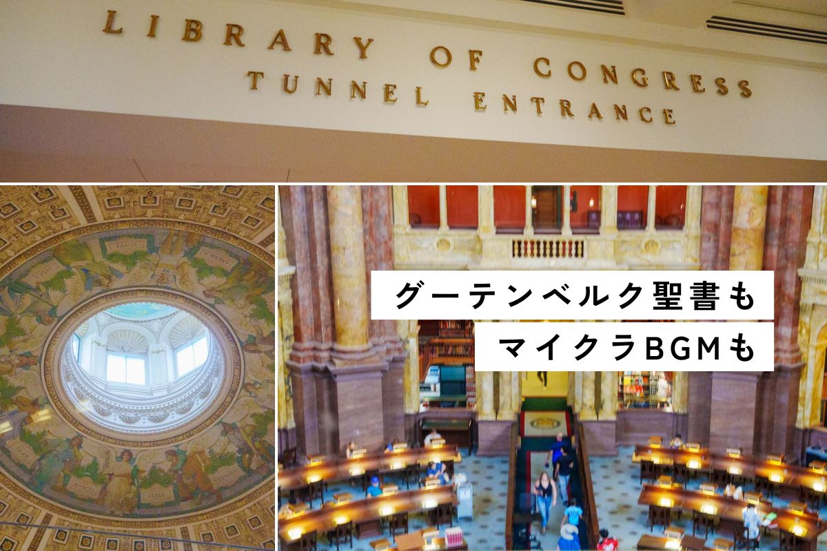 【ワシントンDC】アメリカ議会図書館を無料見学！予約から閲覧室ウォークスルー