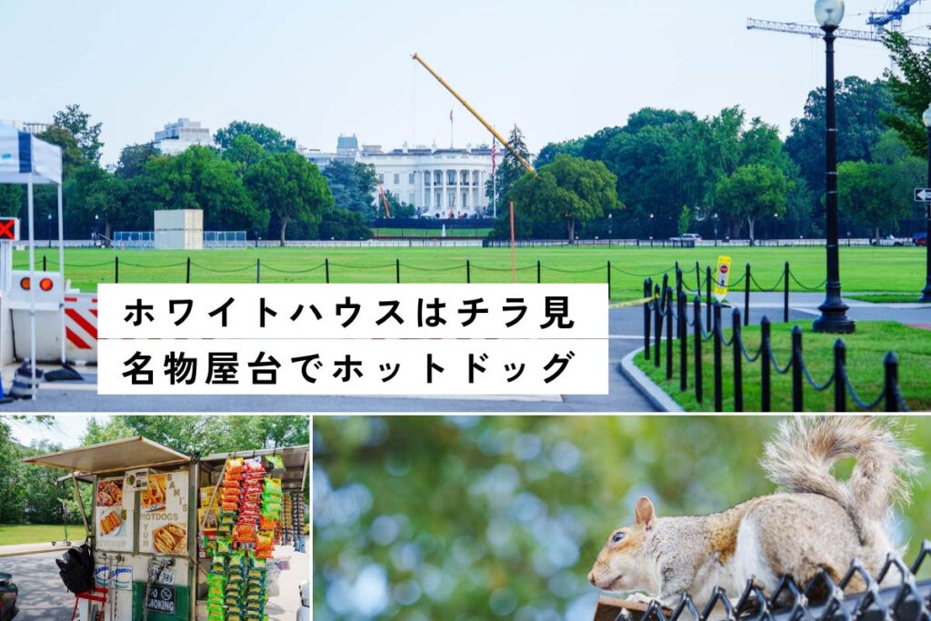 【ワシントンDC】ナショナル・モール散策＆アメリカ歴史博物館
