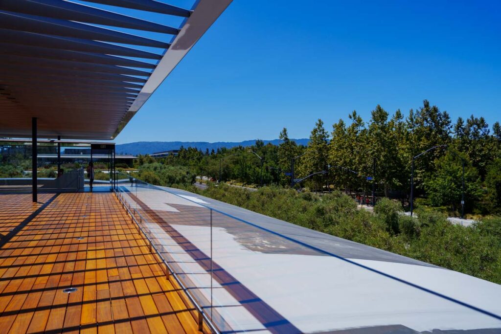 Apple Parkの森が見える