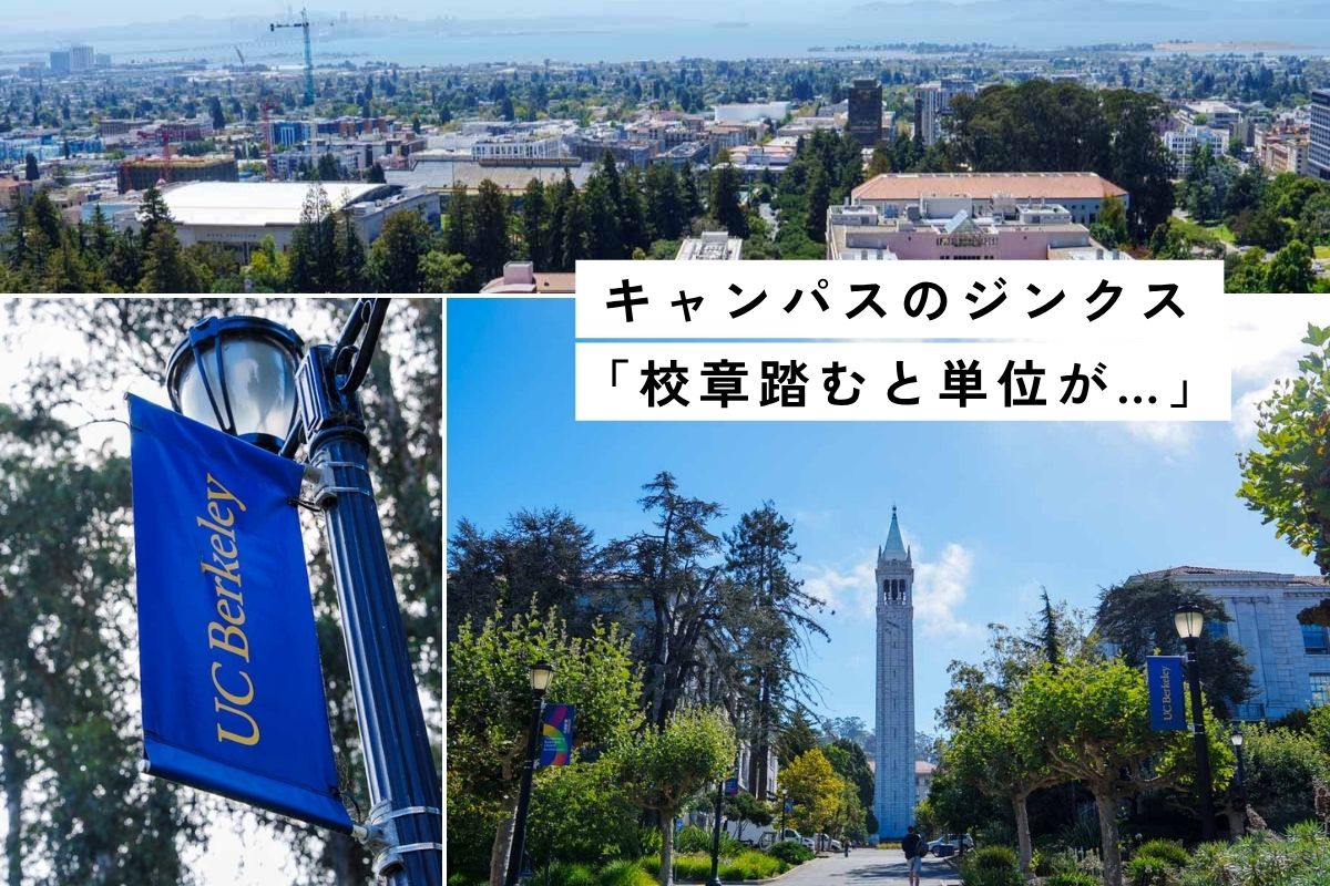 UCバークレーのキャンパスツアー参加！BARTでの行き方