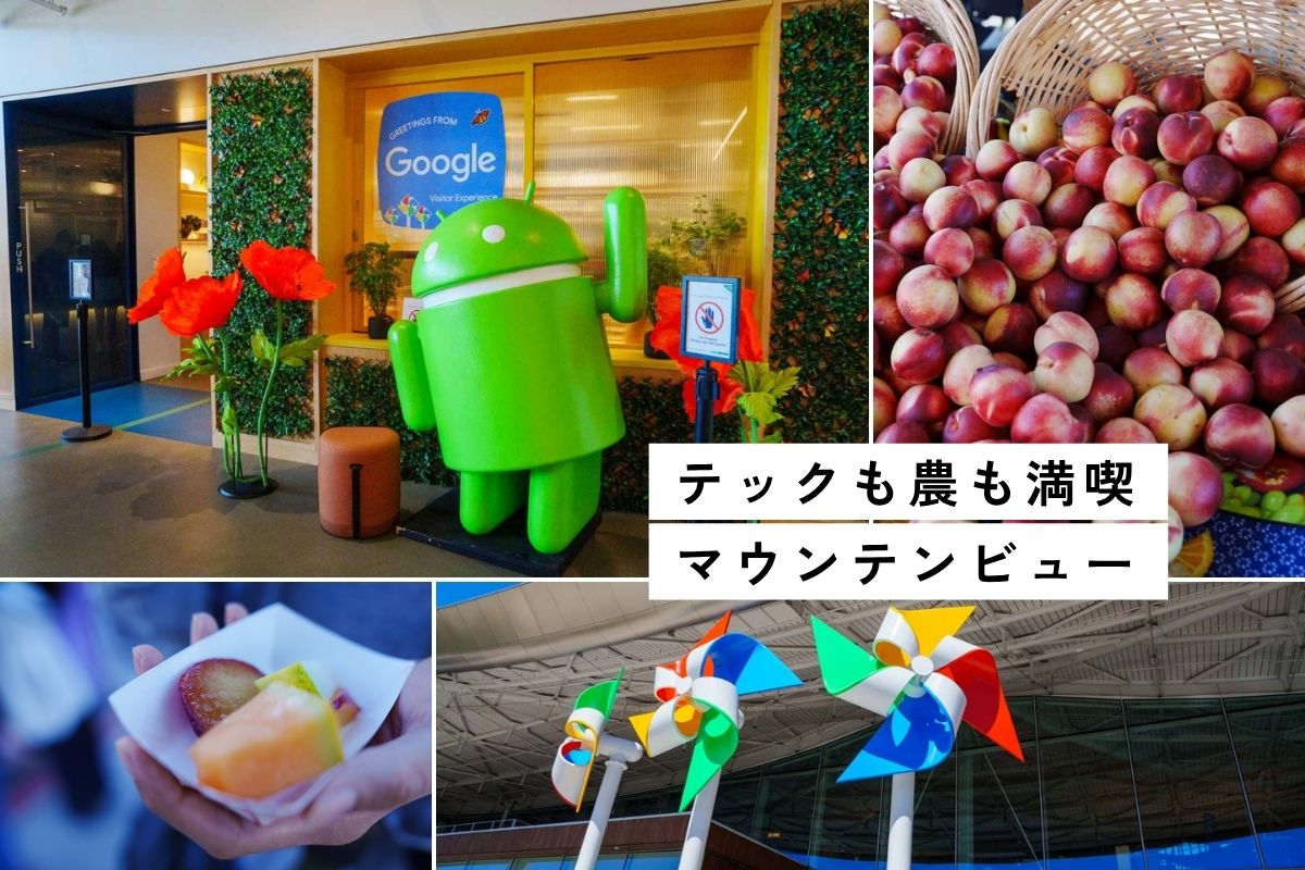 【シリコンバレー】Google本社＆日曜日マーケット！1日観光コース