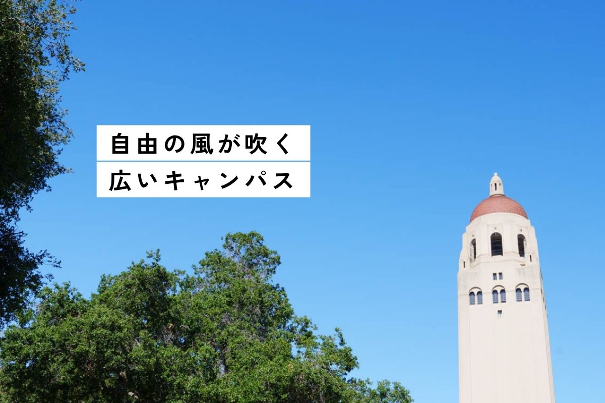 スタンフォード大学訪問 | 予約・カルトレインでの行き方・フォーラム参加